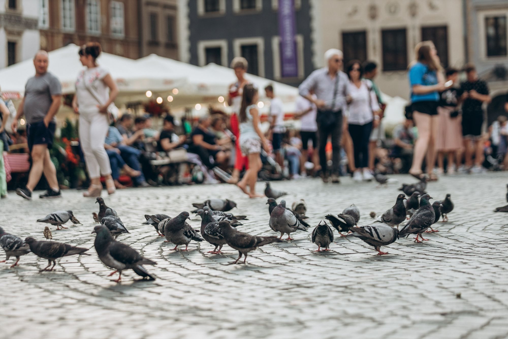 Illustrasjonsbilde tatt av Adam Nieścioruk fra Unsplash