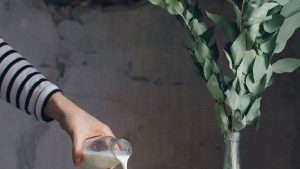 Illustrasjonbilde titt av Alberto Bogo