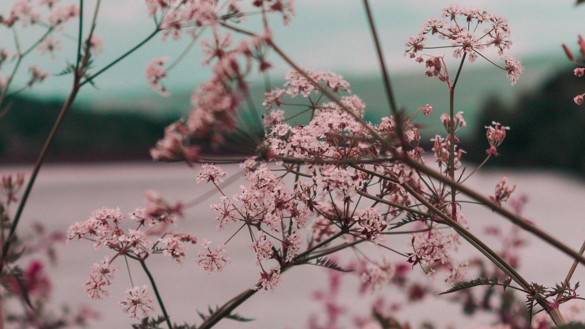 Illustrasjonsbilde tatt av Ryan Booth fra Unsplash